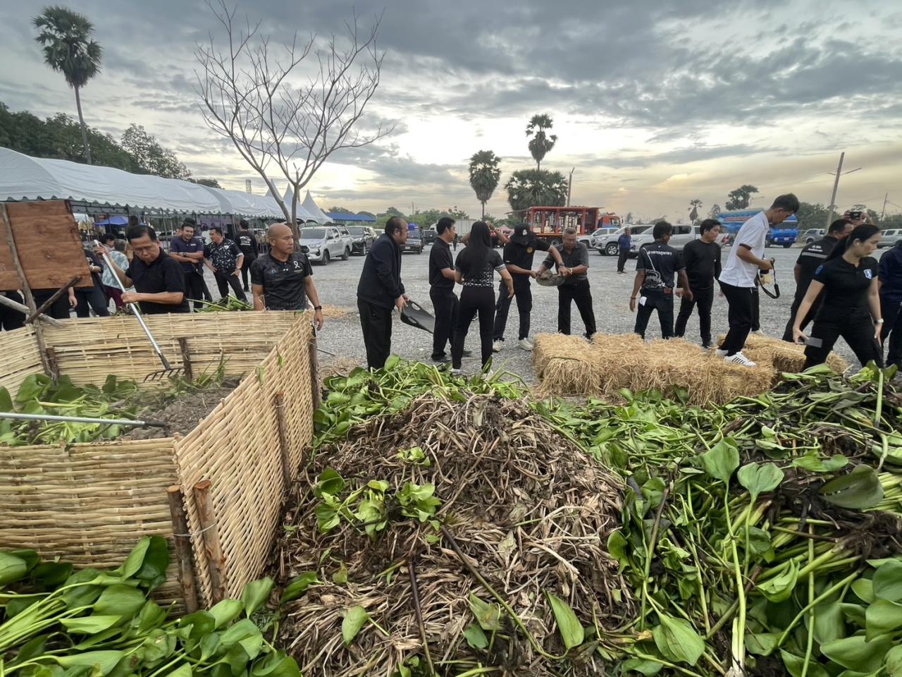 ภาพประกอบที่ 11