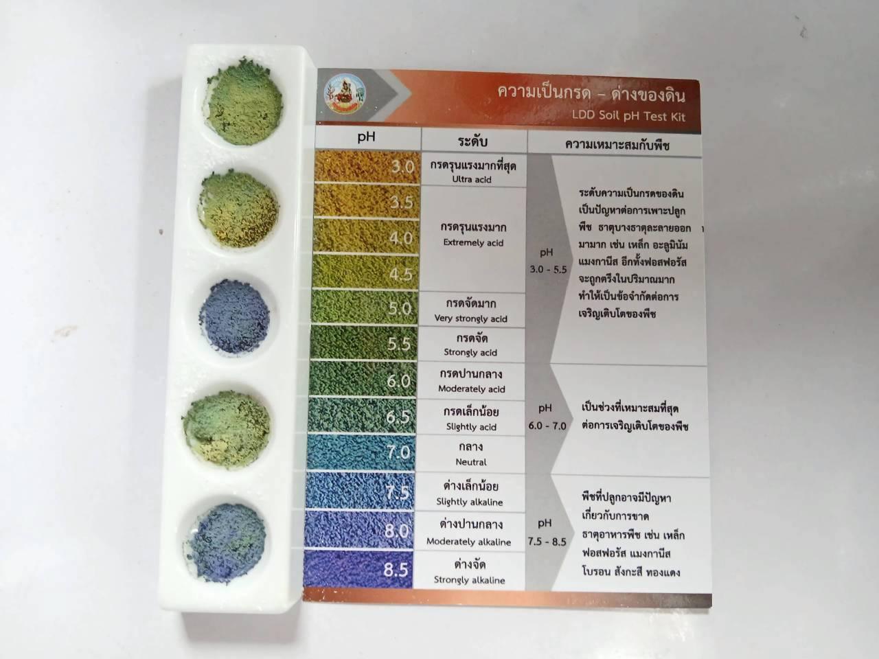 ภาพประกอบที่ 26