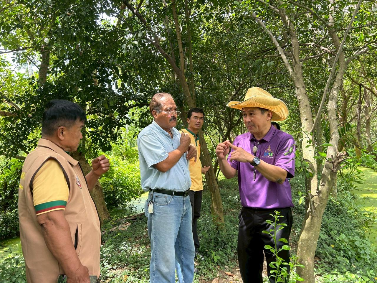 ภาพประกอบที่ 15