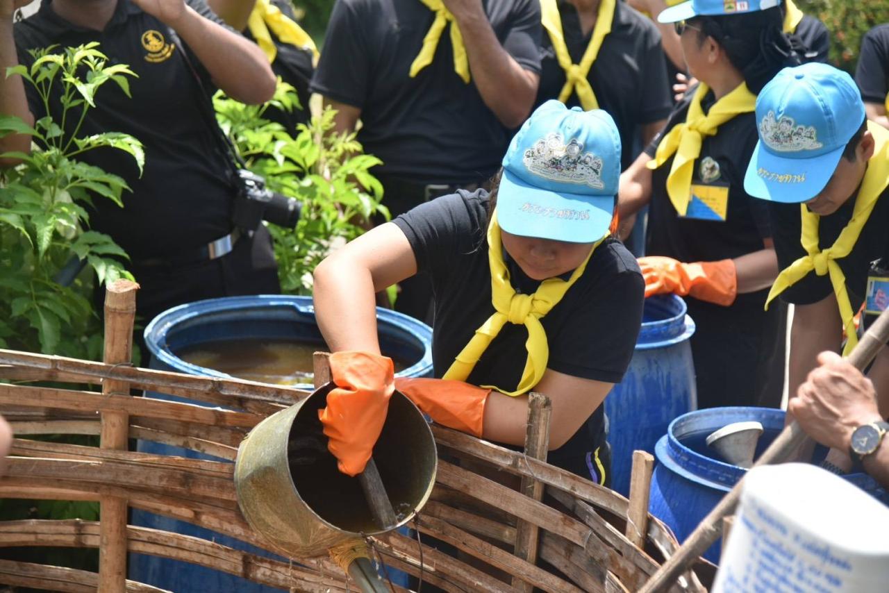 ภาพประกอบที่ 11