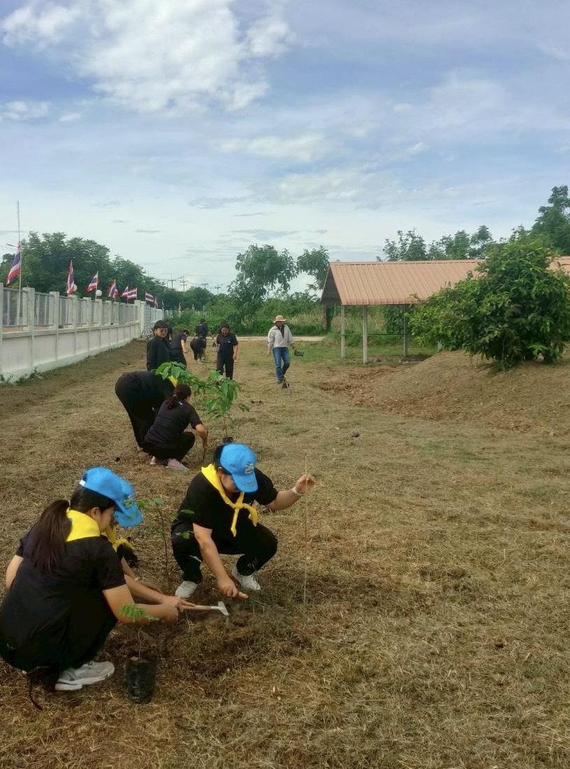ภาพประกอบที่ 11