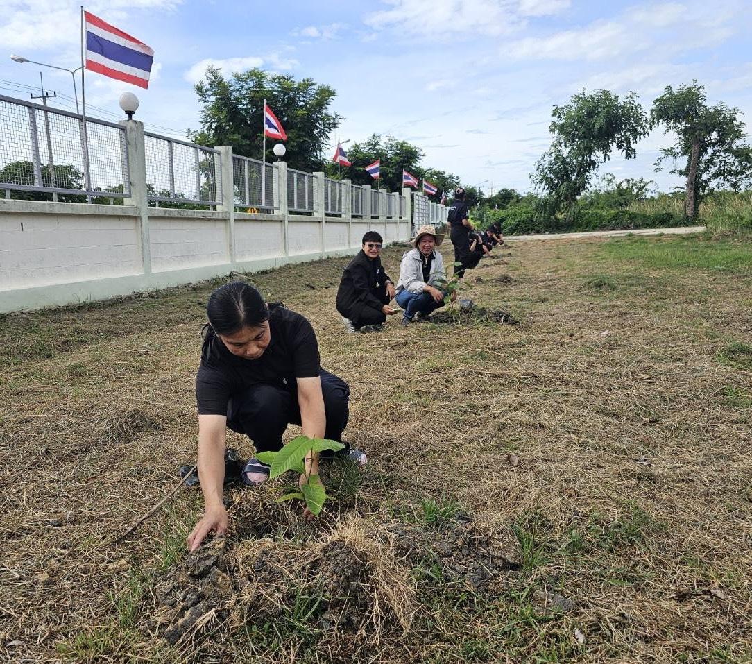 ภาพประกอบที่ 12