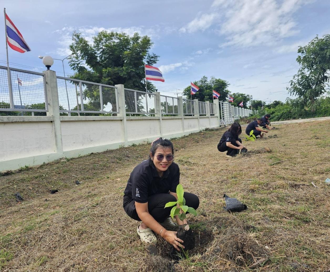 ภาพประกอบที่ 13