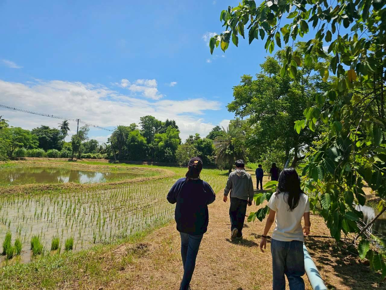 ภาพประกอบที่ 11