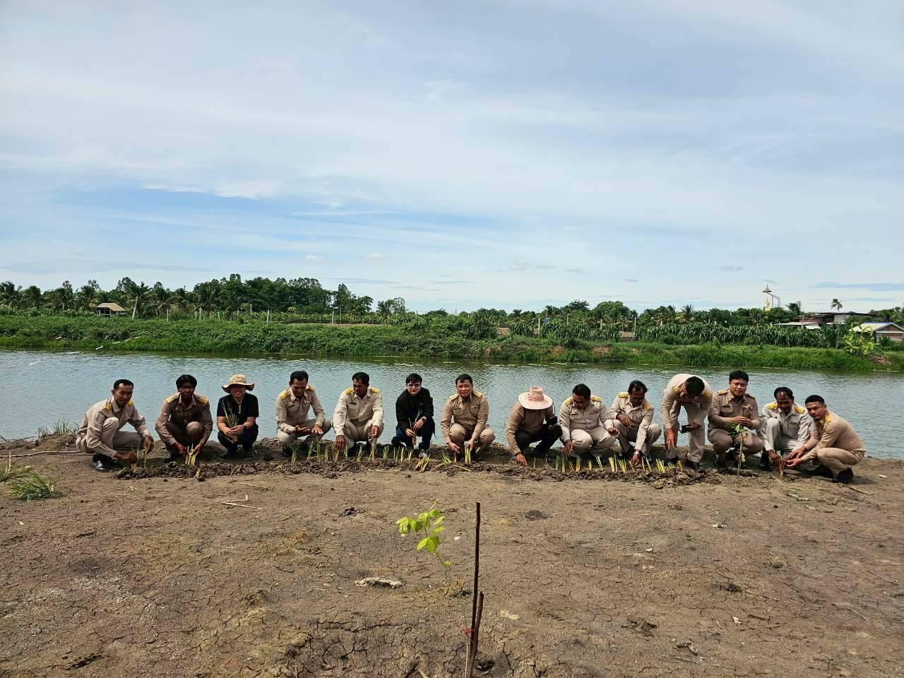 ภาพประกอบที่ 3