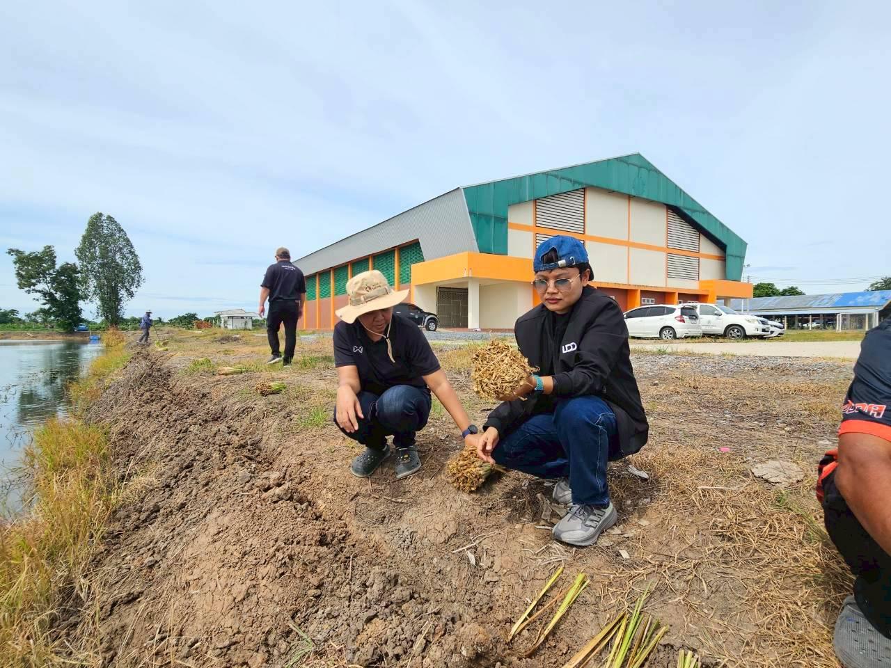 ภาพประกอบที่ 5