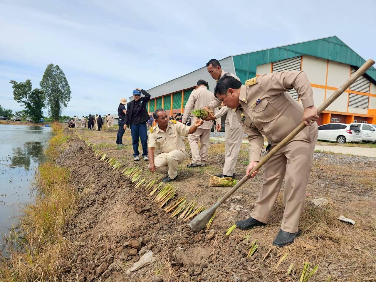 ภาพประกอบที่ 19