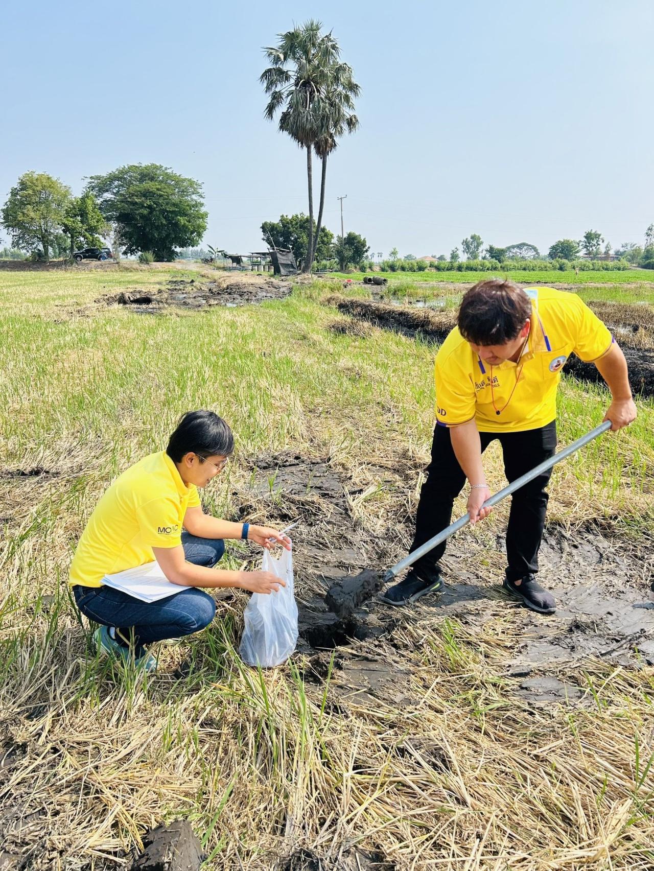 ภาพประกอบที่ 3