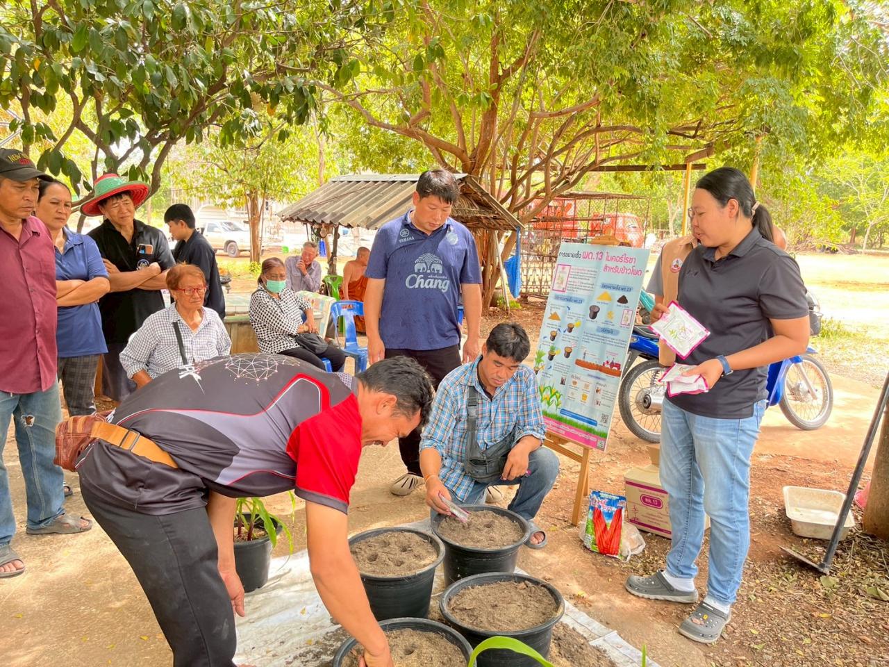 ภาพประกอบที่ 4