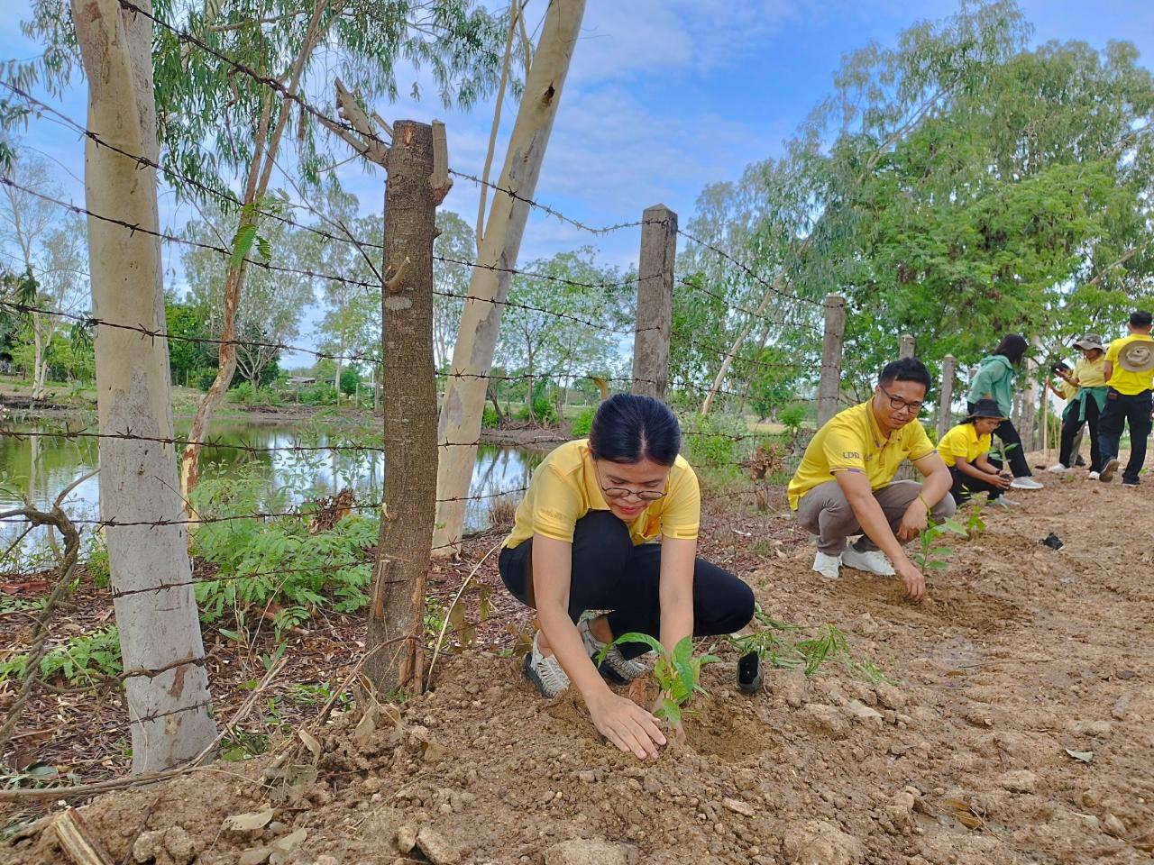 ภาพประกอบที่ 1