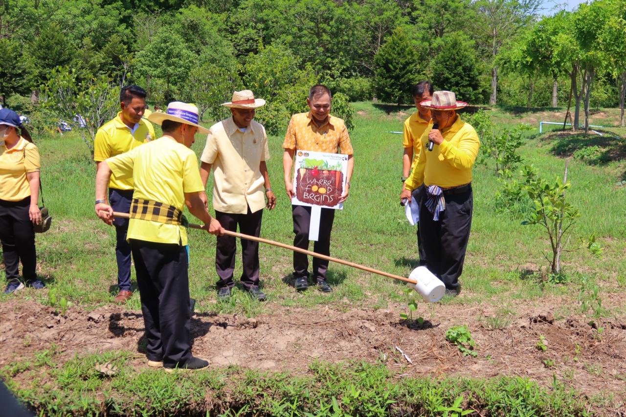 ภาพประกอบที่ 1