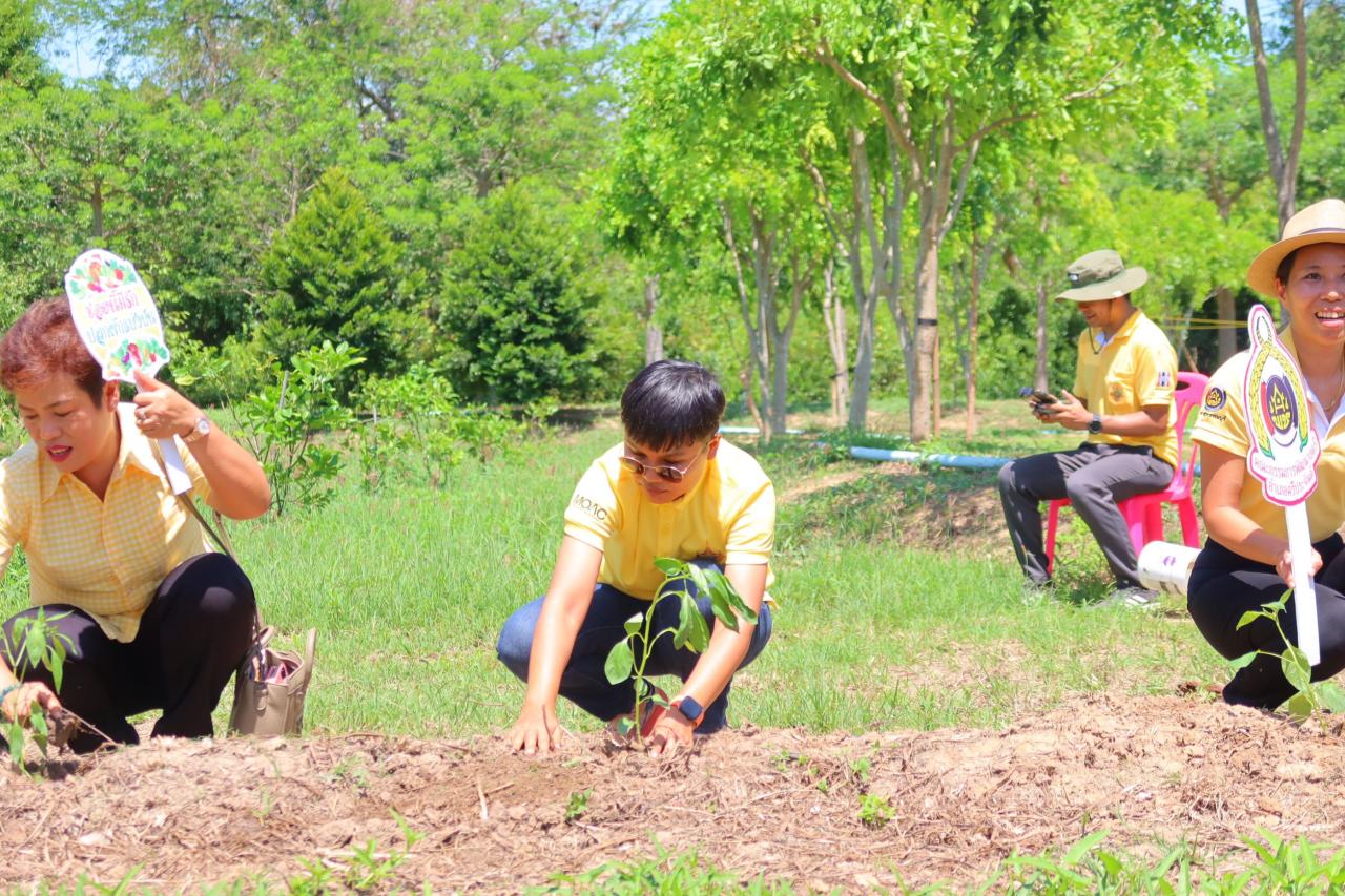 ภาพประกอบที่ 8