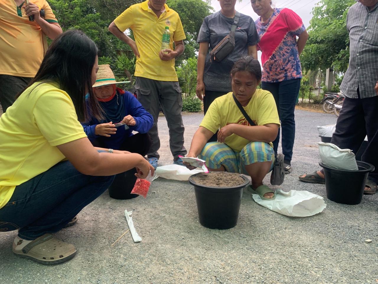 ภาพประกอบที่ 4