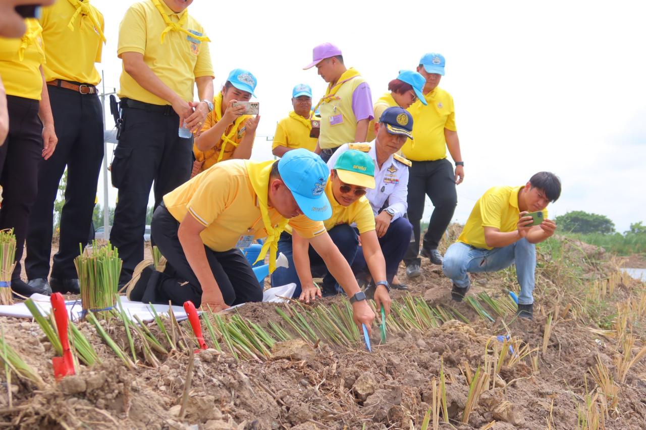 ภาพประกอบที่ 0