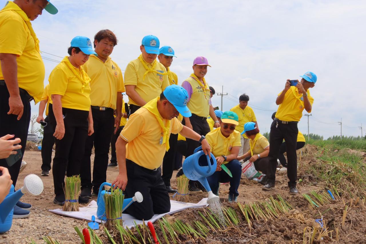 ภาพประกอบที่ 1