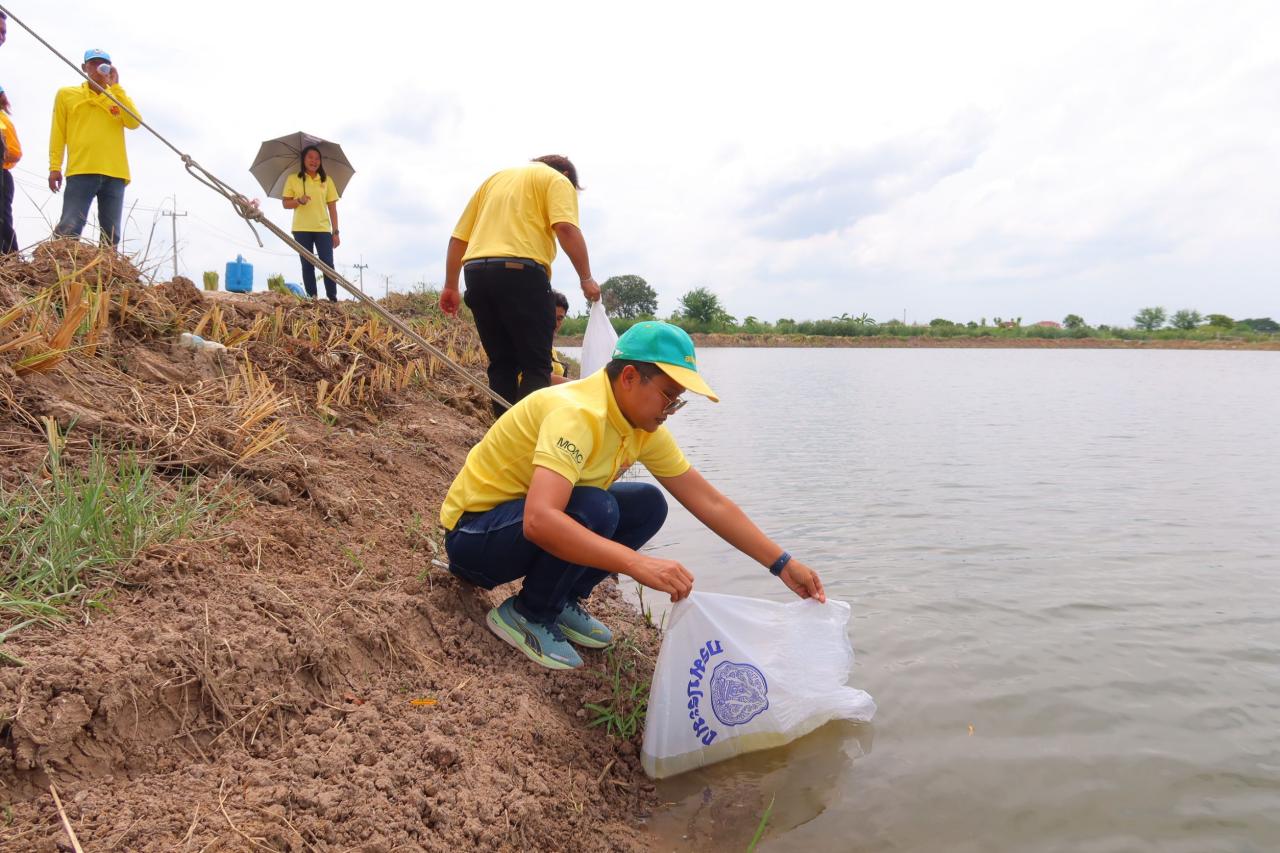 ภาพประกอบที่ 3