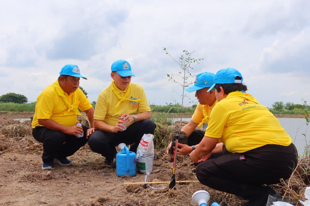 ภาพประกอบที่ 5