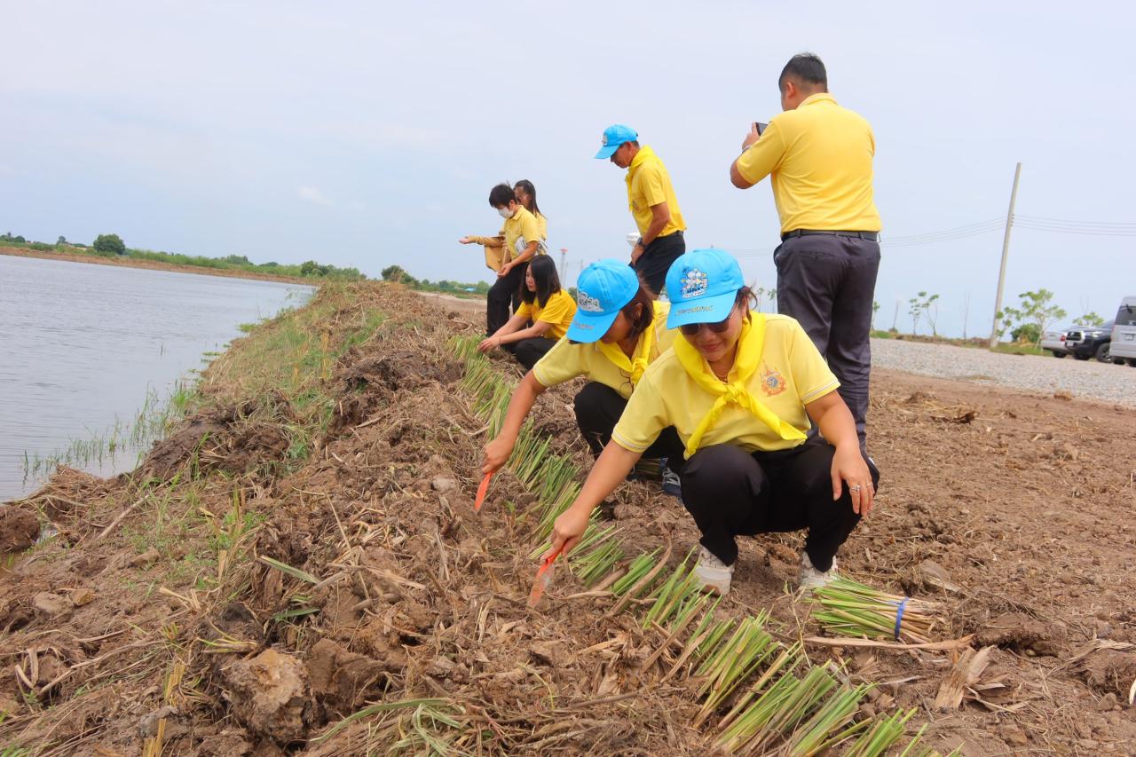 ภาพประกอบที่ 6