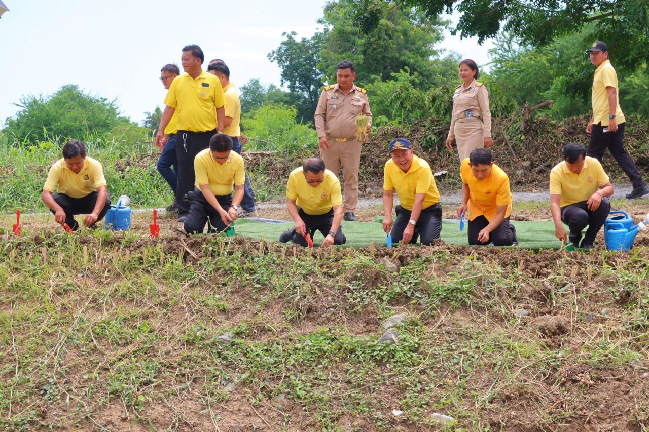 ภาพประกอบที่ 1