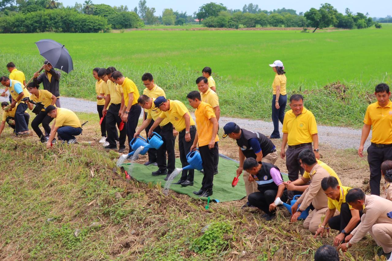 ภาพประกอบที่ 5