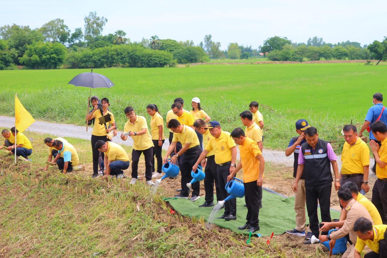 ภาพประกอบที่ 7