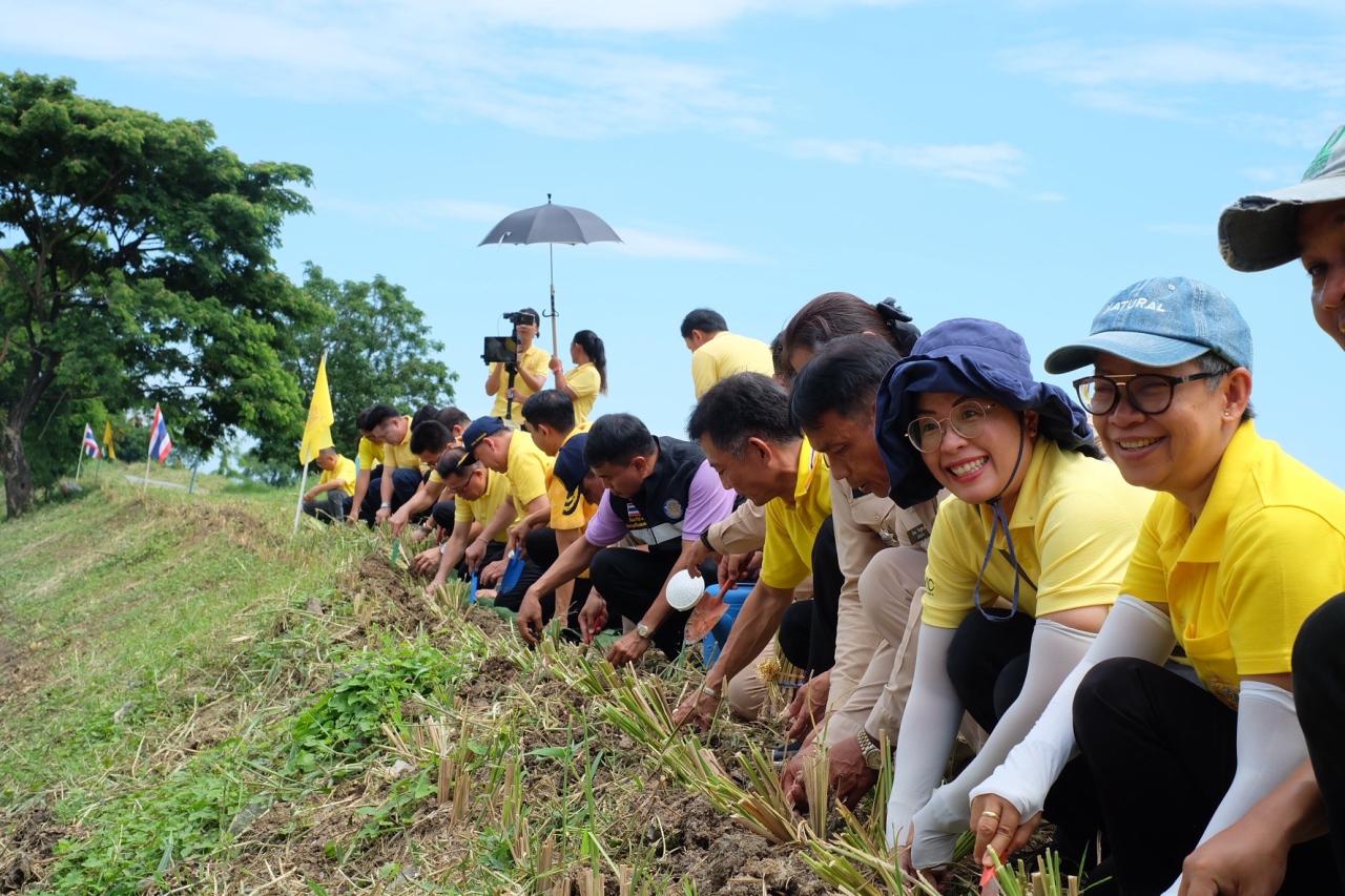 ภาพประกอบที่ 11