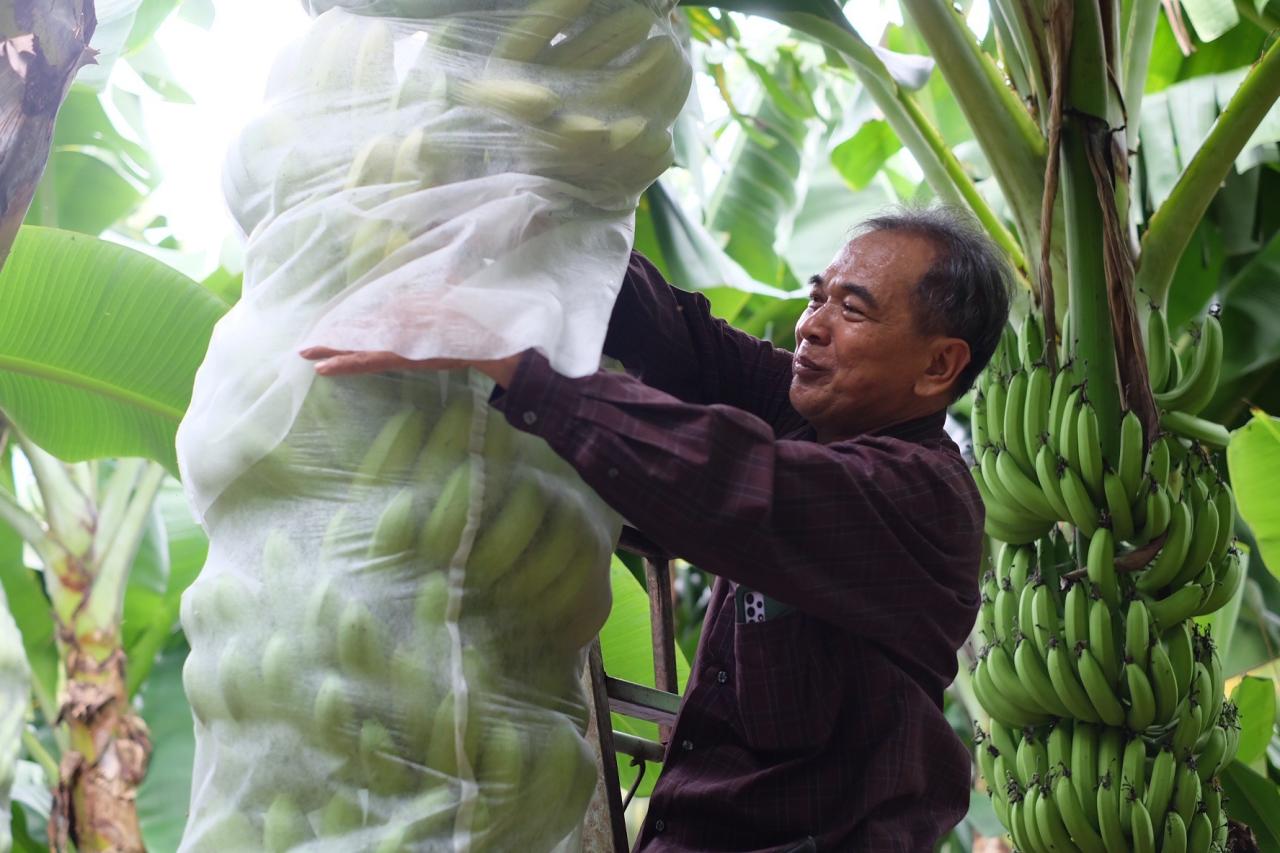 ภาพประกอบที่ 10