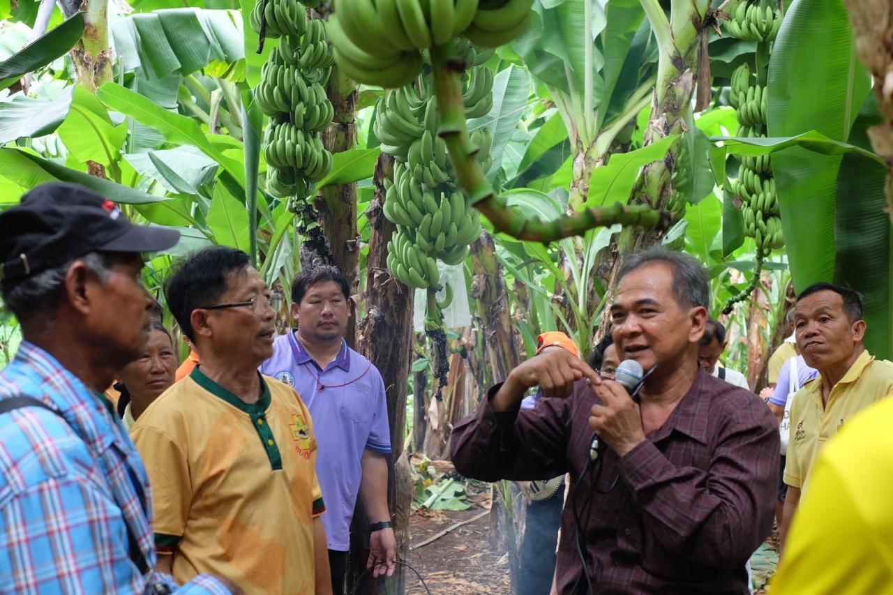 ภาพประกอบที่ 11