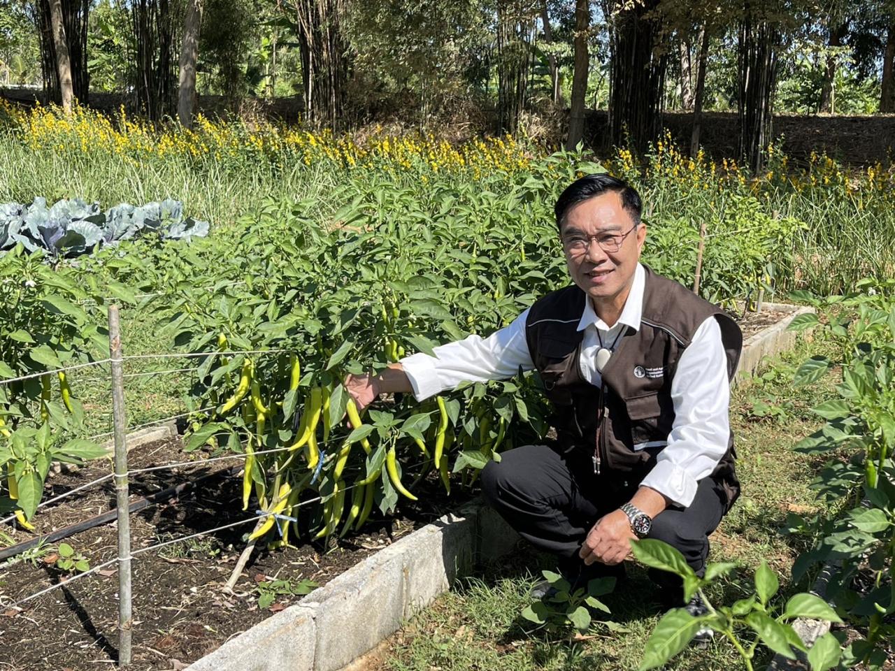 ภาพประกอบที่ 8