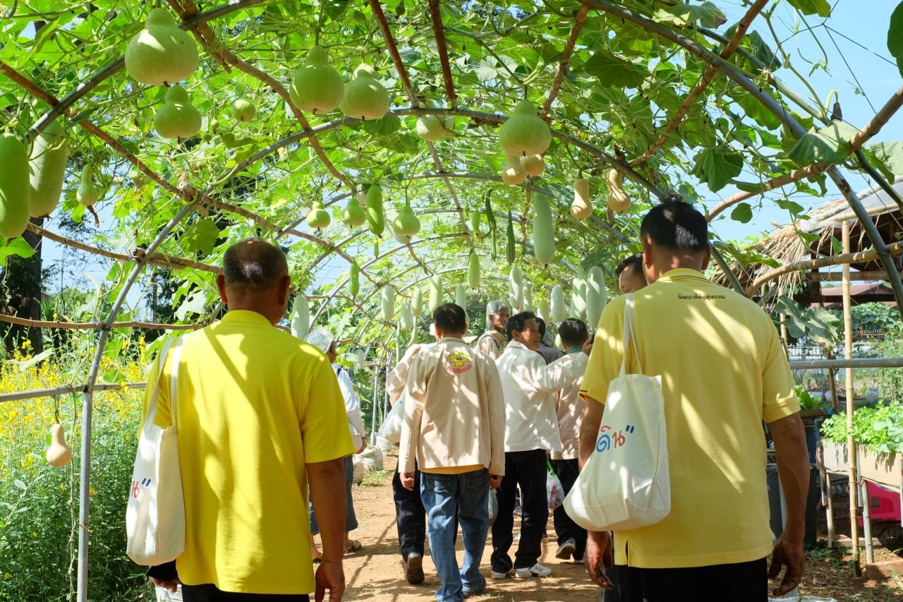 ภาพประกอบที่ 12