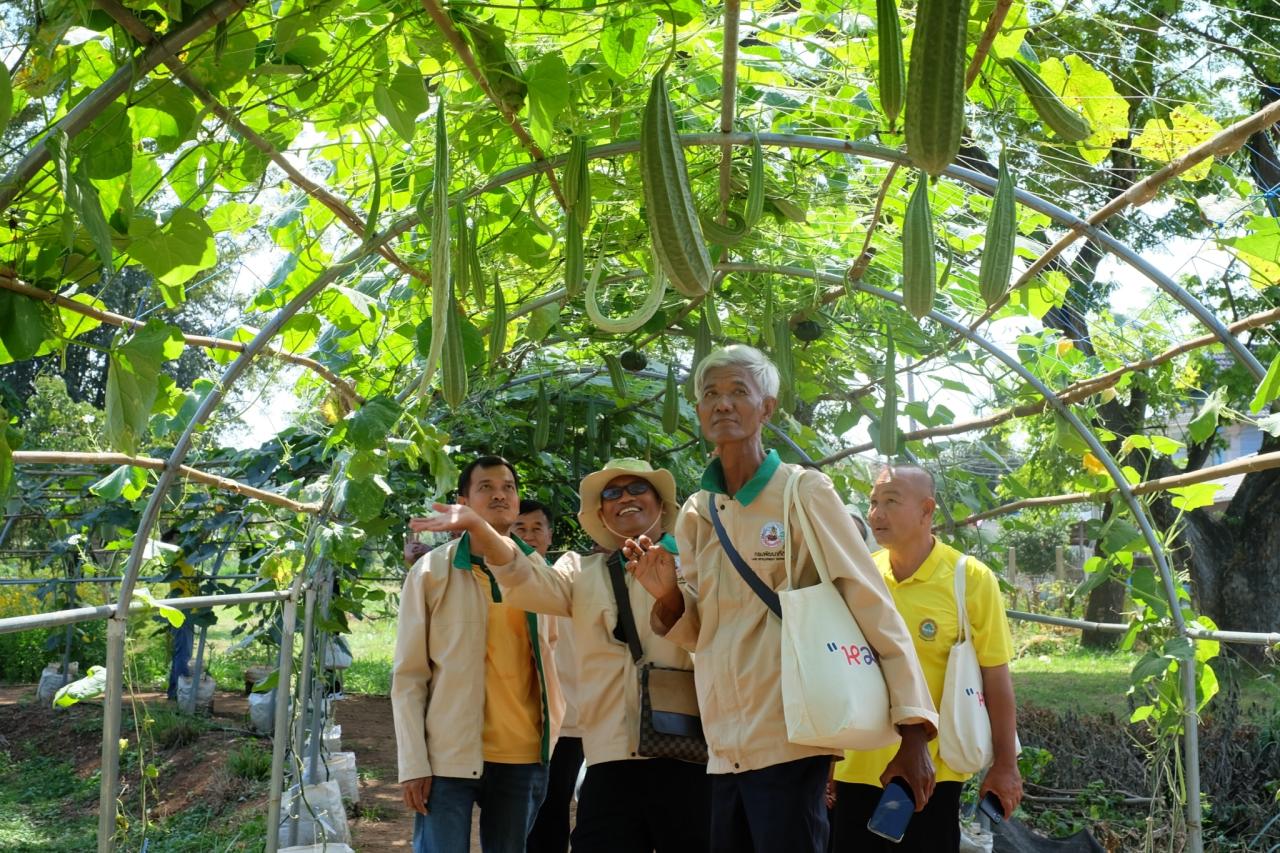 ภาพประกอบที่ 13