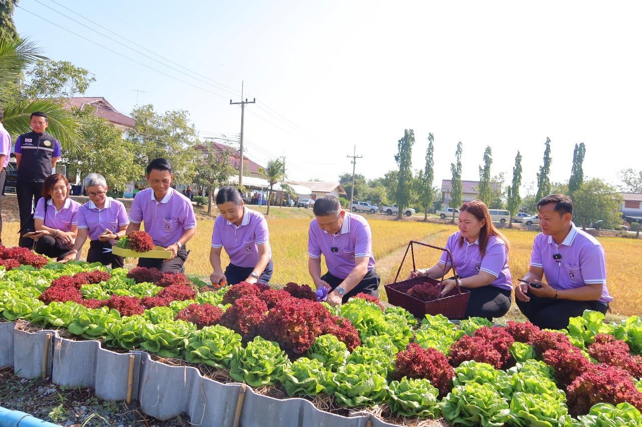 ภาพประกอบที่ 15