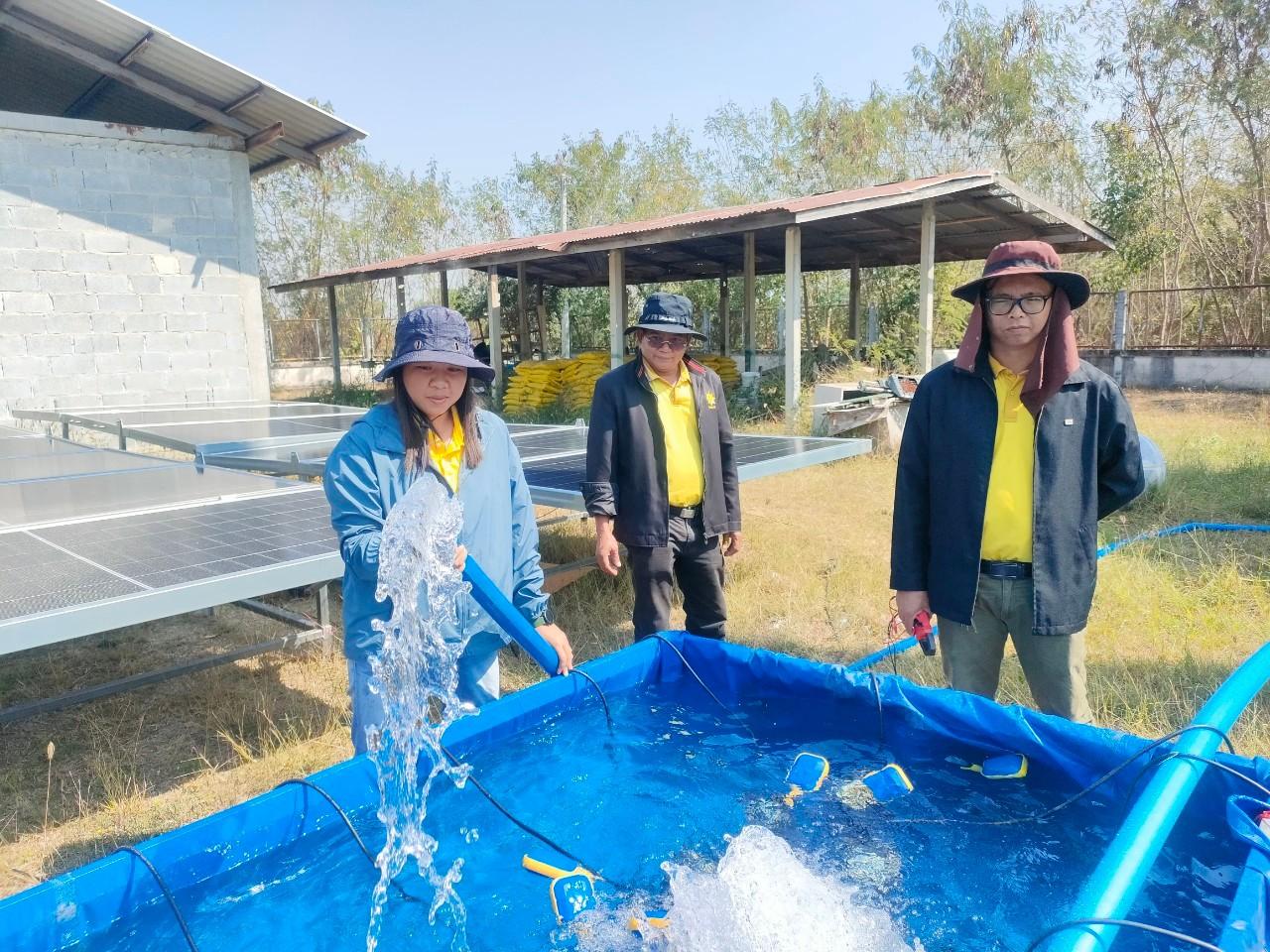 ภาพประกอบที่ 24