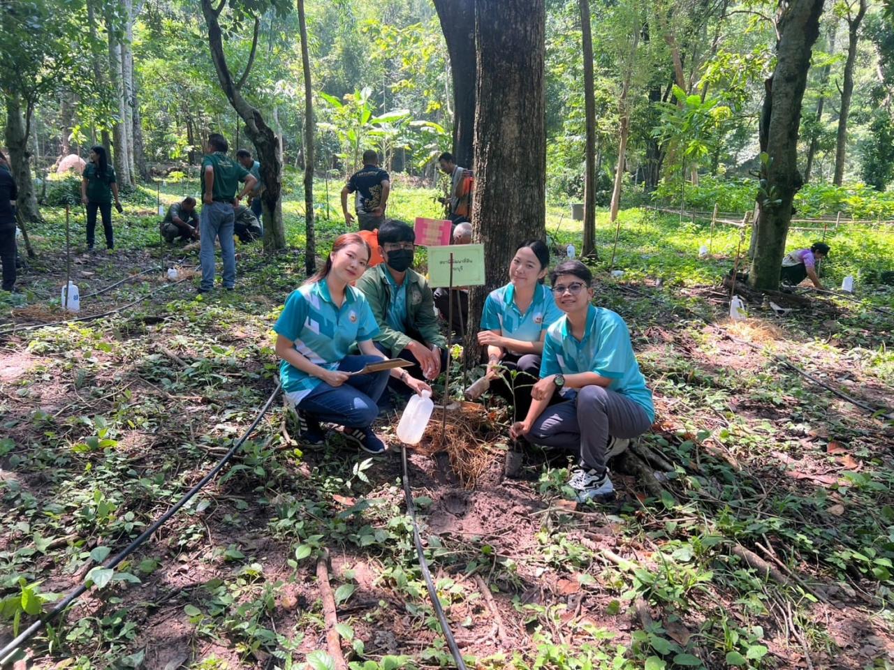 ภาพประกอบที่ 0