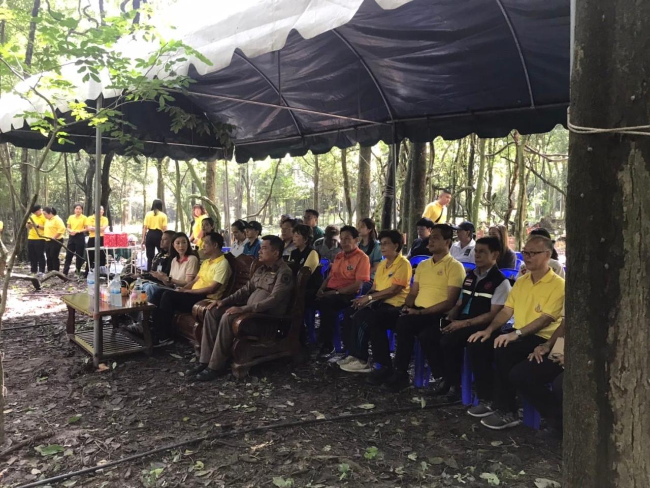 ภาพประกอบที่ 1