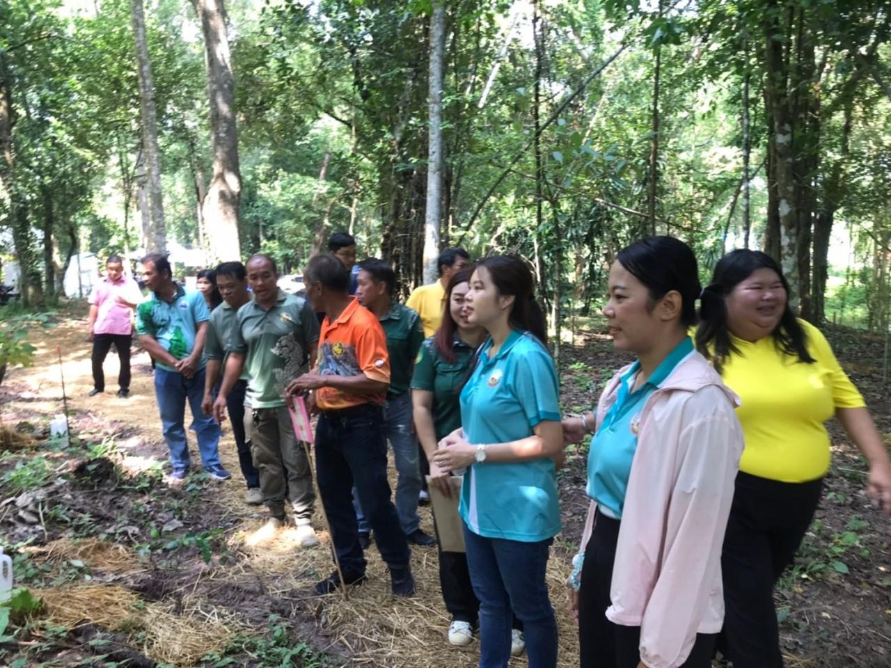 ภาพประกอบที่ 3