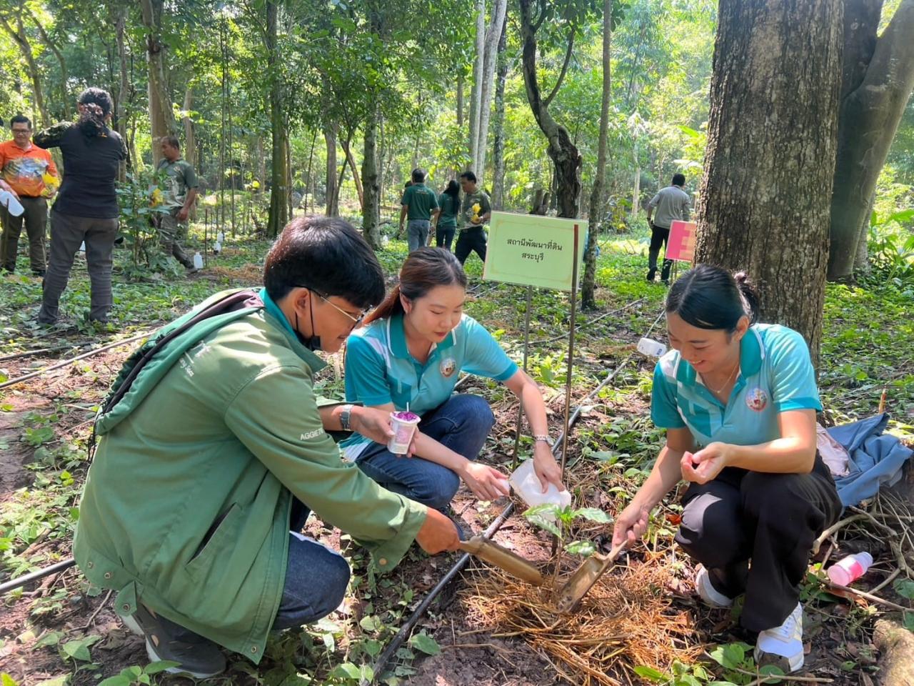 ภาพประกอบที่ 4