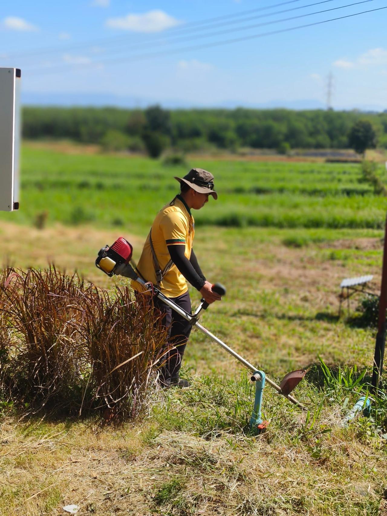 ภาพประกอบที่ 2