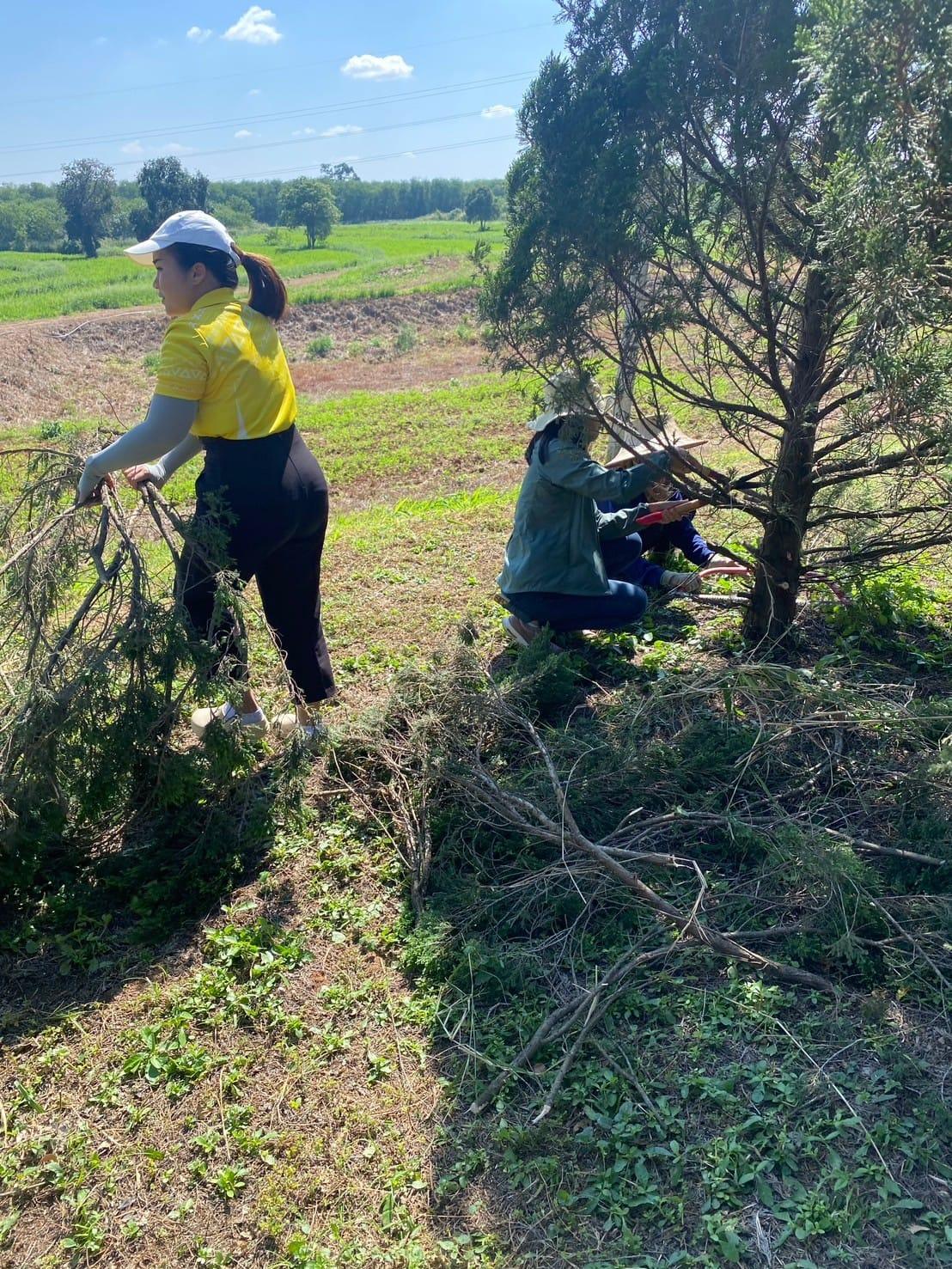 ภาพประกอบที่ 5