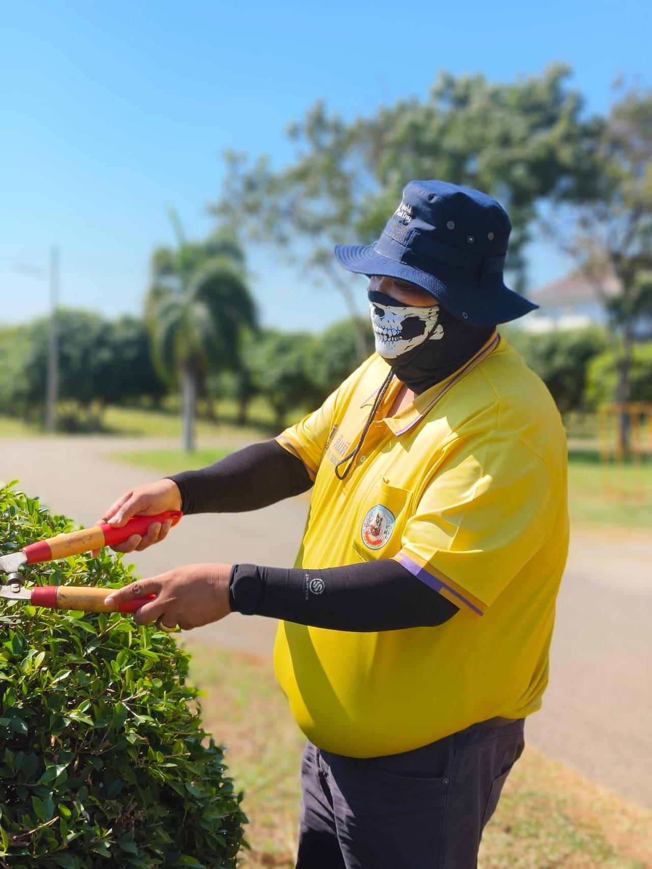 ภาพประกอบที่ 6