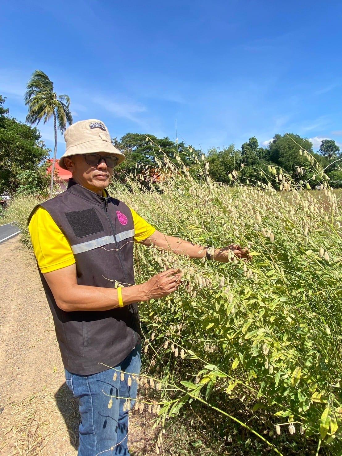 ภาพประกอบที่ 0