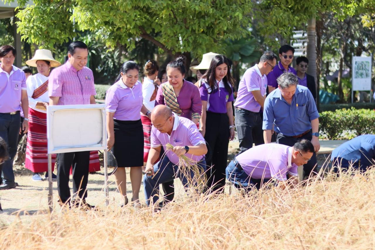 ภาพประกอบที่ 8