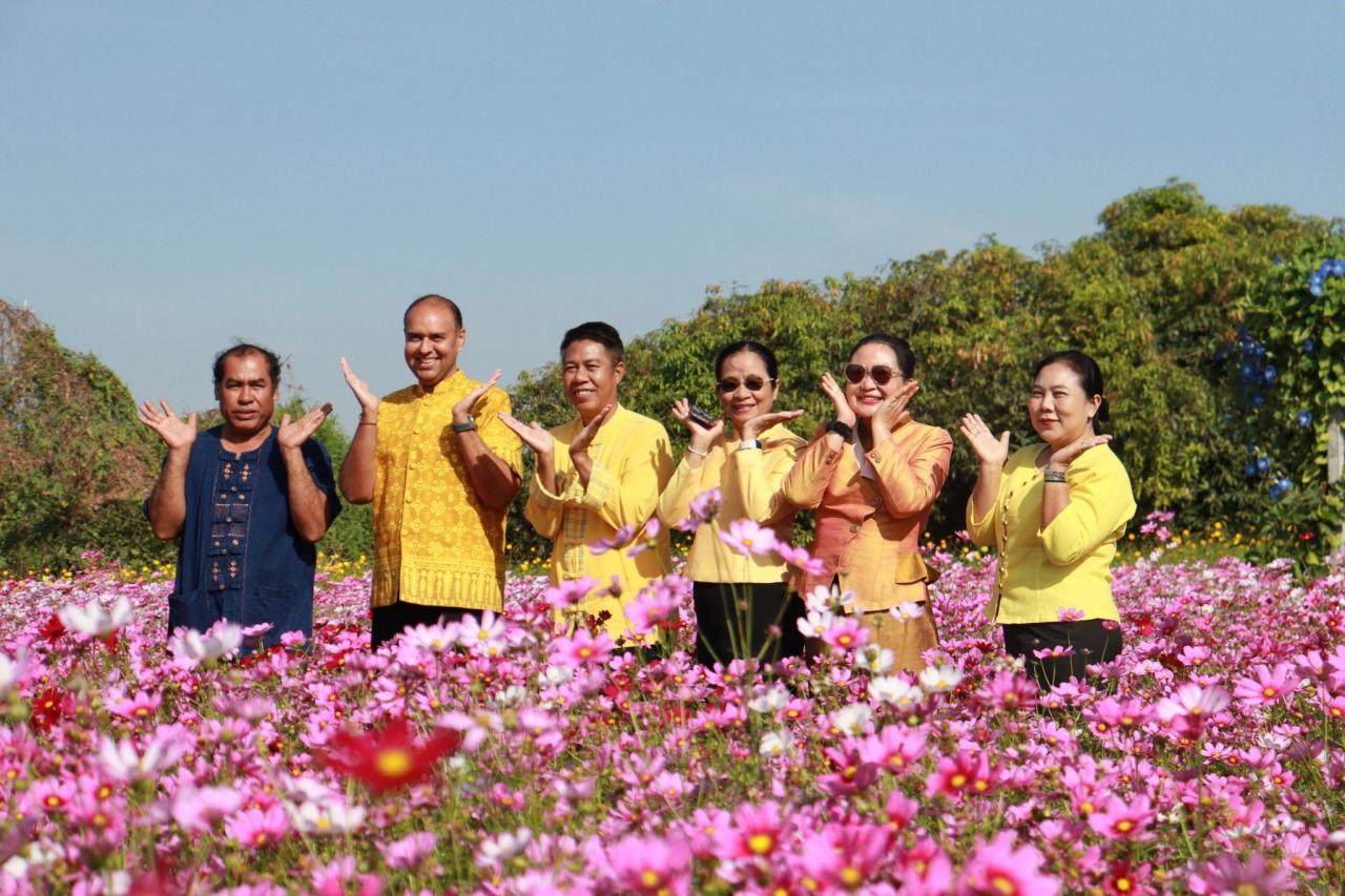 ภาพประกอบที่ 3