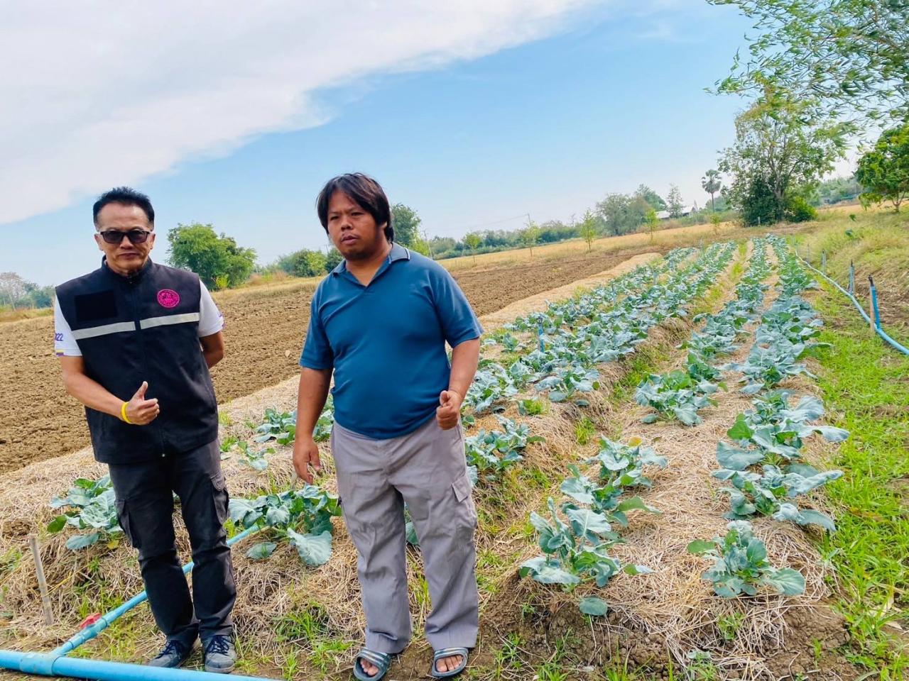 ภาพประกอบที่ 0