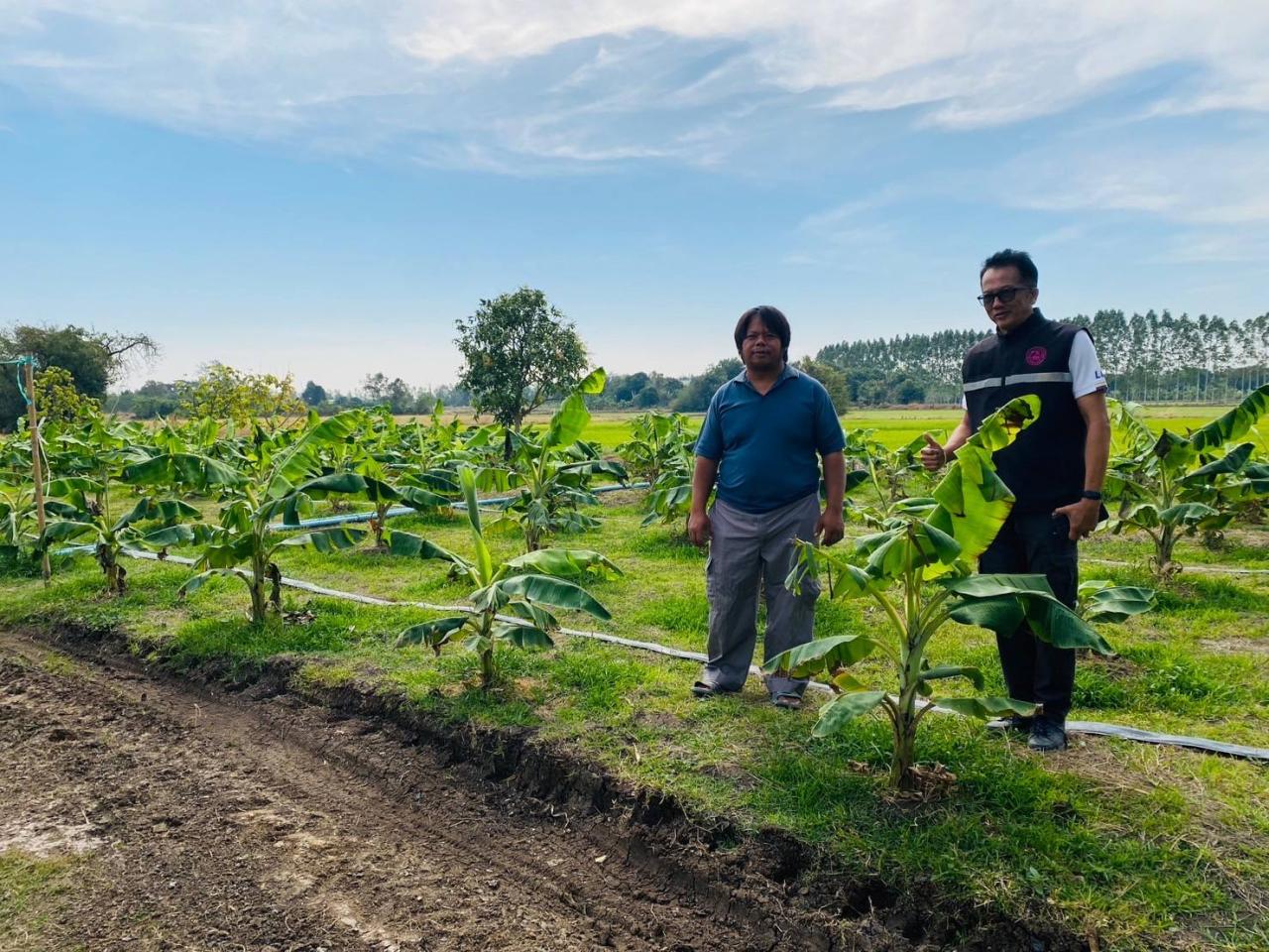 ภาพประกอบที่ 1