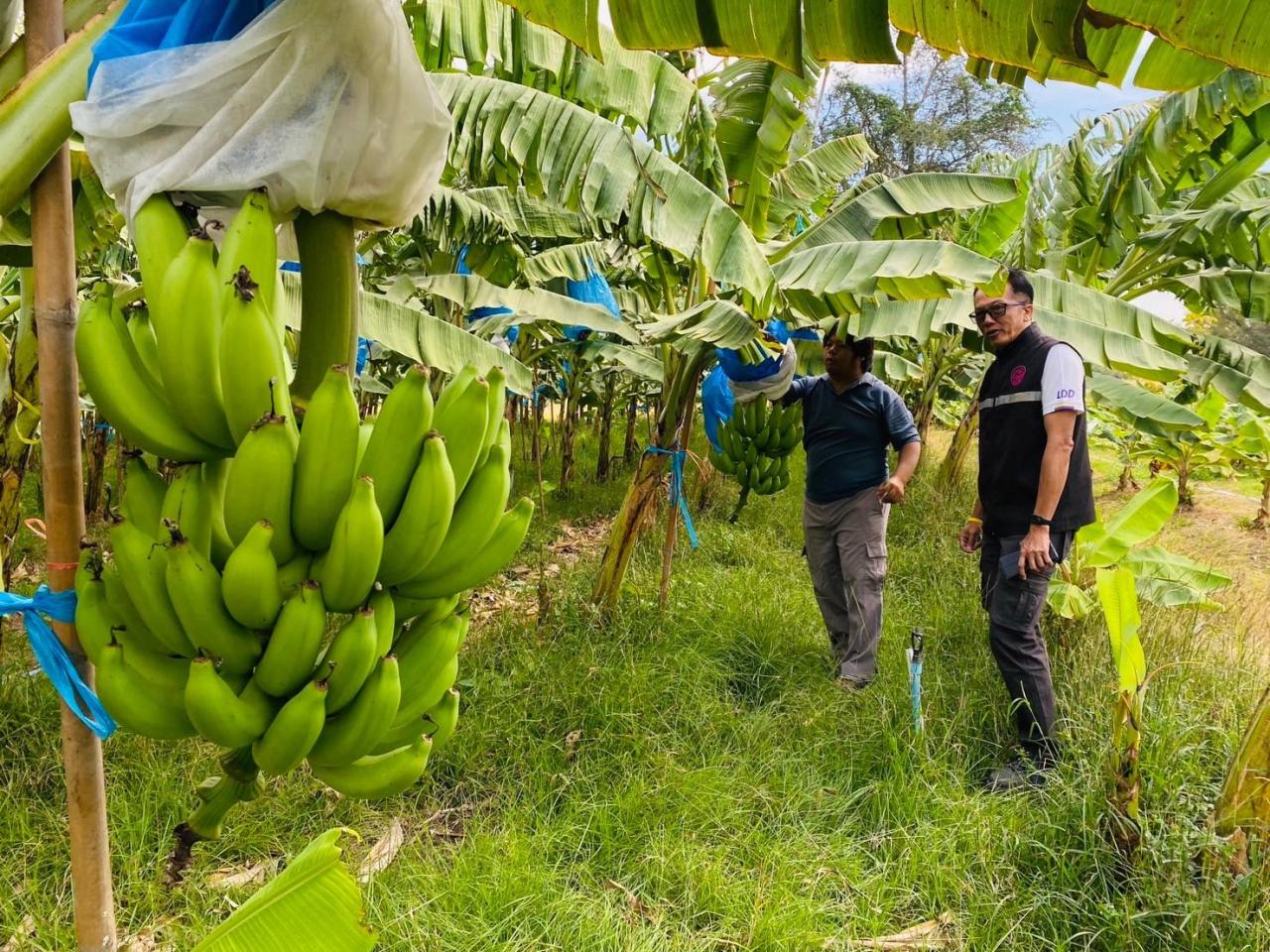 ภาพประกอบที่ 6