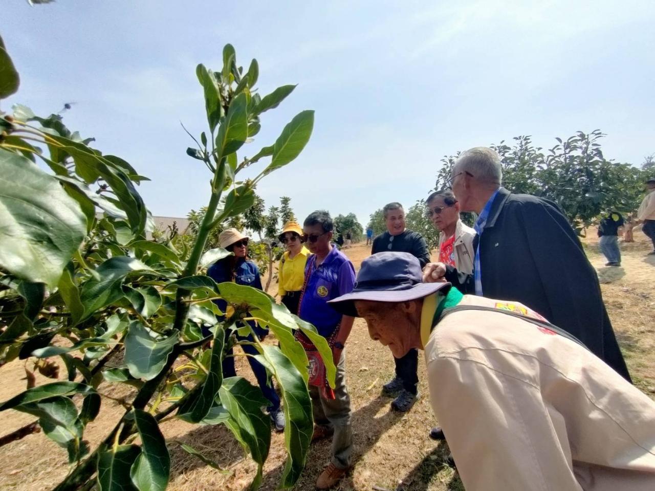 ภาพประกอบที่ 2