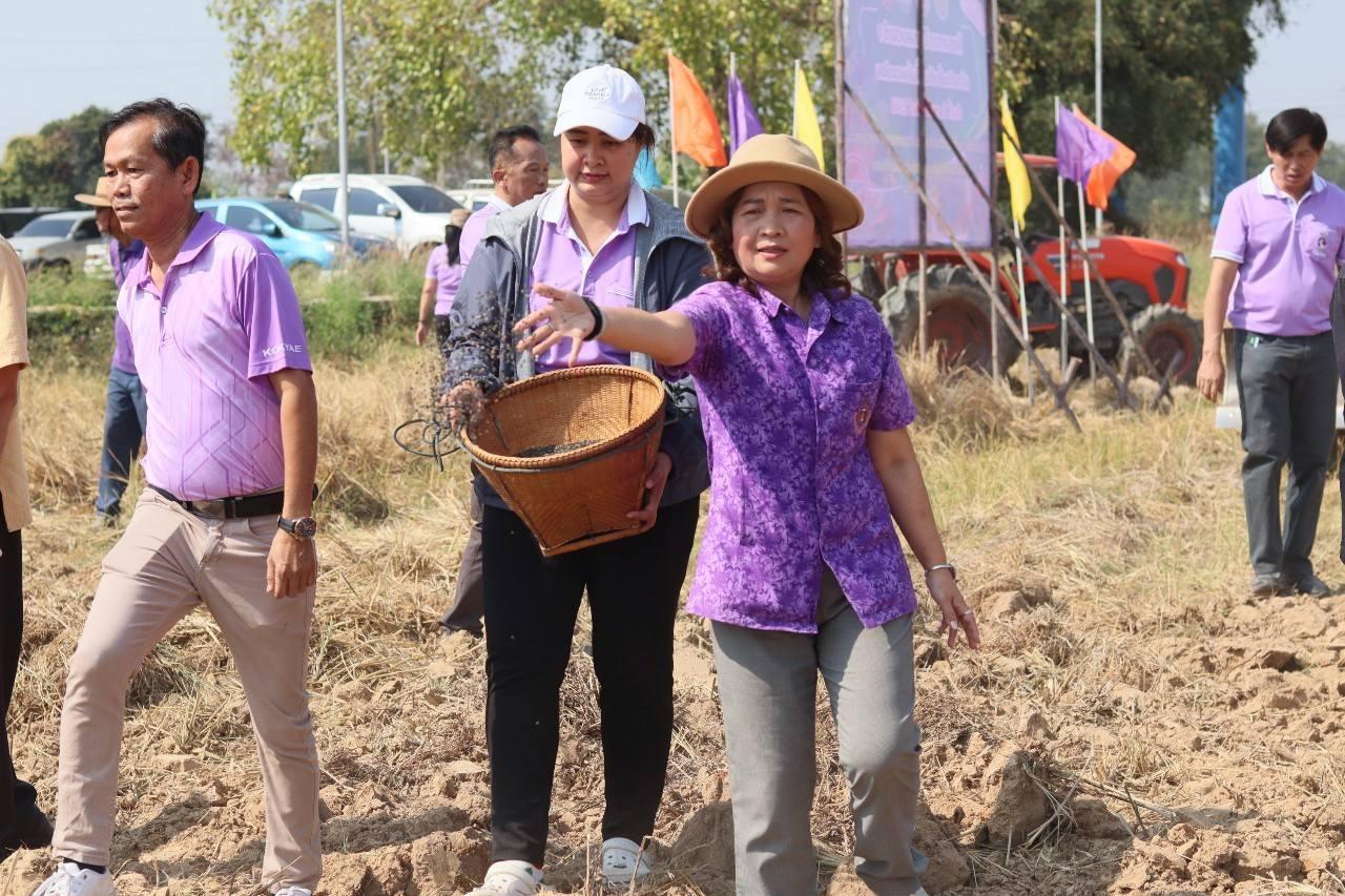 ภาพประกอบที่ 2