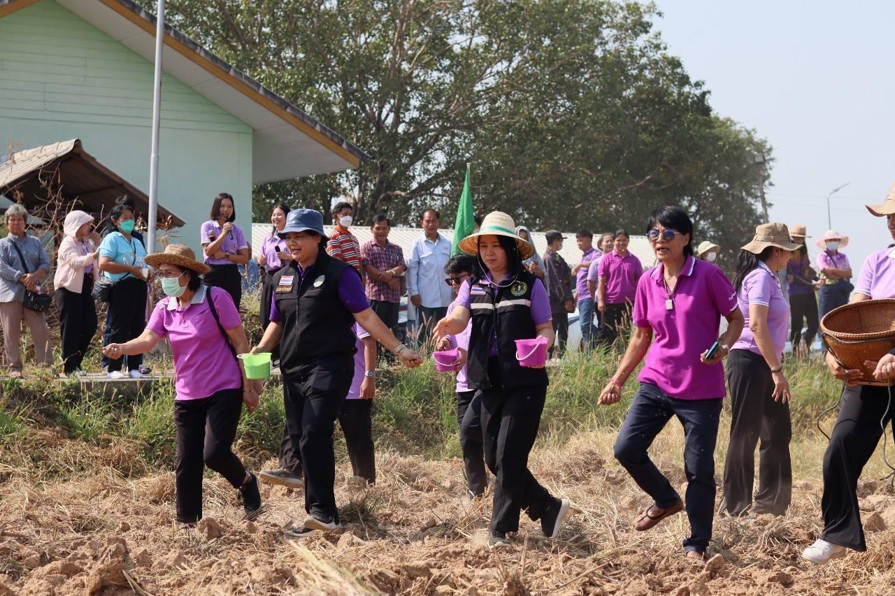 ภาพประกอบที่ 5