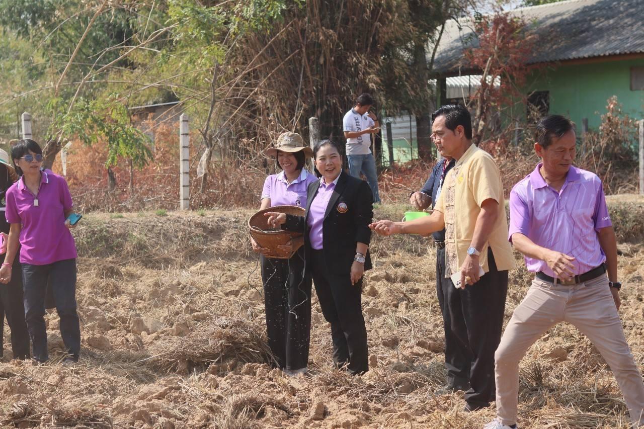 ภาพประกอบที่ 8